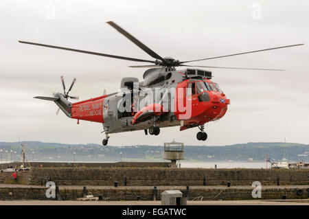 Royal Navy Sea King helicopter Rescue 177 lands at Armed Forces Day, Carrickfergus 25/06/2011 Stock Photo