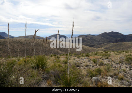 Scenic drive along the Rio Grande River in Big Bend Ranch State Park
