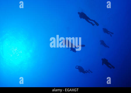 Five divers swimming in blue water in Red sea, Egypt, Africa Stock Photo
