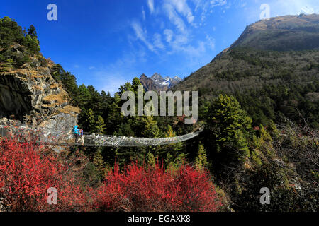 Trekkers crossing the metal suspension bridge over the Dudh Koshi river valley at Phungi Thanga village, Everest base camp trek, Stock Photo