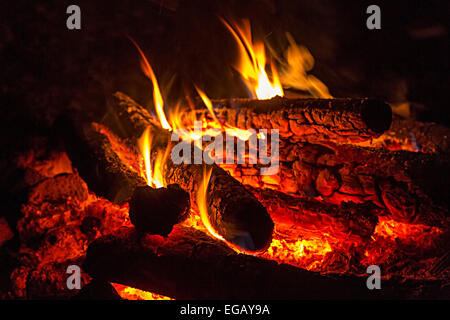 Wood fire on campsite Stock Photo