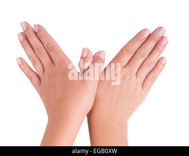 two hand isolated on white background Stock Photo