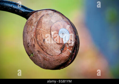 Snail shell gate latch at the Garden of Cosmic Speculation in Dumfries Scotland. Stock Photo