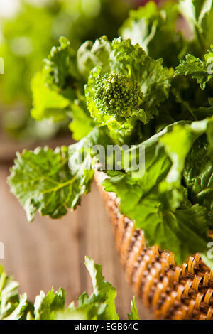 Organic Raw Green Broccoli Rabe Rapini on a Background Stock Photo