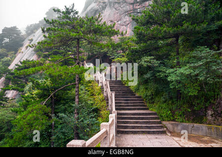 Mountain stairs path into forest, Huangshan, China Stock Photo