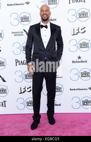 Santa Monica, California, USA. 21st Feb, 2015. Common arrives for the 2015 Film Independent Spirit Awards at the Beach. Credit:  Lisa O'Connor/ZUMA Wire/Alamy Live News Stock Photo