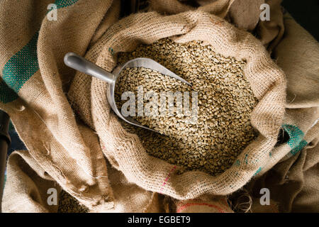 A big metal scoop in the raw coffee seeds sack Stock Photo