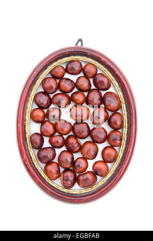 conker fruits seeds chesnuts in wooden picture oval frame isolated on white Stock Photo