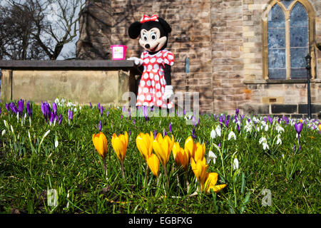 Minnie mouse in church gardens Stock Photo