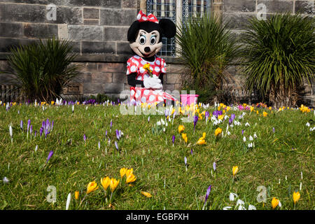 Minnie mouse in church gardens Stock Photo