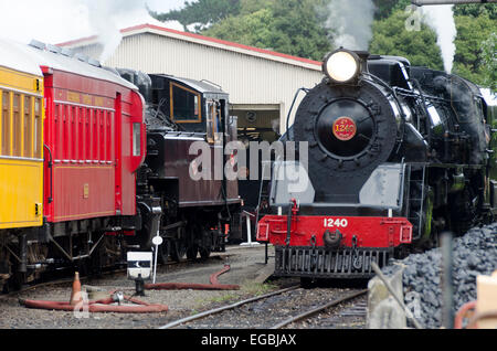 Ww Class Steam Locomotive, New Zealand Government Railways At Glenbrook 