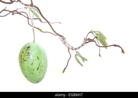 Easer eggs hanging on chinese willow Stock Photo