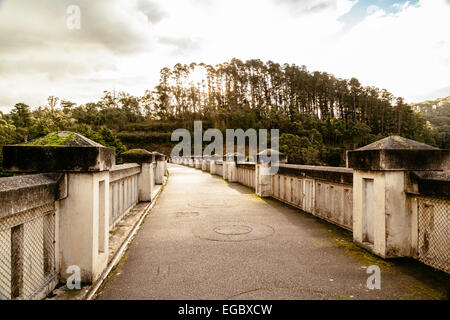 Water catchment area at Maroondah Reservoir Park, Dandenong Ranges, Victoria, Australia Stock Photo