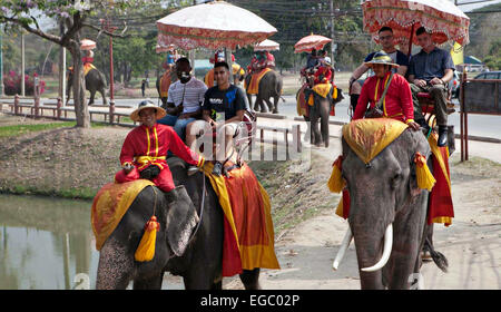 US Marines in civilian clothing enjoy a day out riding elephants during a tour of temples following joint exercise Cobra Gold with the Royal Thai Armed Forces February 15, 2015 in Ayutthaya, Thailand. Stock Photo