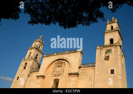 Catedral de San Ildefonso, Merida, Yucatan, Mexico Stock Photo