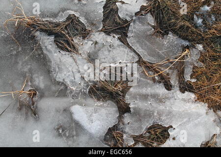 melting clear shine drop of ice on spring land Stock Photo