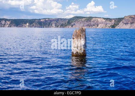 The Old Man of the Lake tree stump floating in Crater Lake. Crater Lake National Park, Oregon, United States. Stock Photo