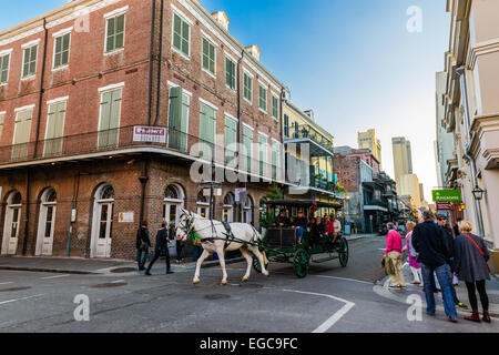 One of most popular entertainments in New Orleans - tour around French quarter in a mule-drawn carriage Stock Photo