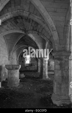 The medieval ruins of St. Leonard's Hospital in York, England. Stock Photo