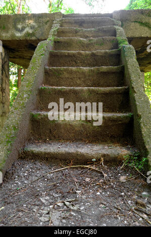 old ruined concrete stairs on the wilderness Stock Photo