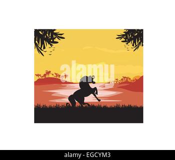 silhouetted horse  on sunset Stock Vector