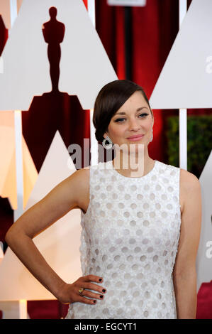 Los Angeles, USA. 22nd Feb, 2015. Actress Marion Cotillard arrives for the red carpet of the 87th Academy Awards at the Dolby Theater in Los Angeles, the United States, on Feb. 22, 2015. Credit:  Yang Lei/Xinhua/Alamy Live News Stock Photo