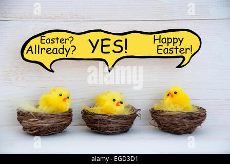 Three Sitting Easter Chicks In Easter Baskets Or Nest With Yellow Feathers On White Wooden Background With Comic Speech Balloon Stock Photo