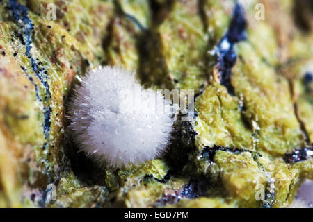Aragonite crystals in macrophotography Stock Photo