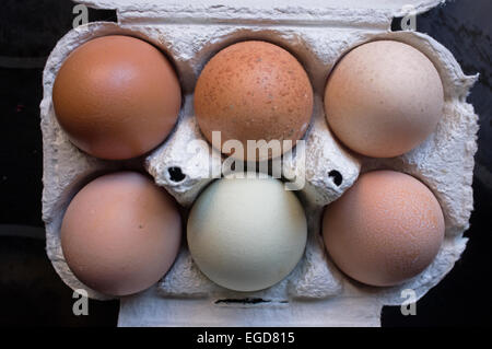 A box of free range local eggs showing a variety of colours. Stock Photo