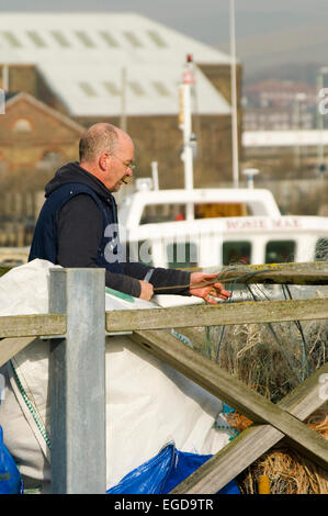 Commercial Fisherman repairing His Nets on a Jetty West Quay Newhaven East Sussex Stock Photo