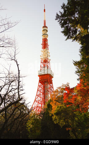 Tokyo Tower in the Winter with Red, Yellow and Green leaves besides