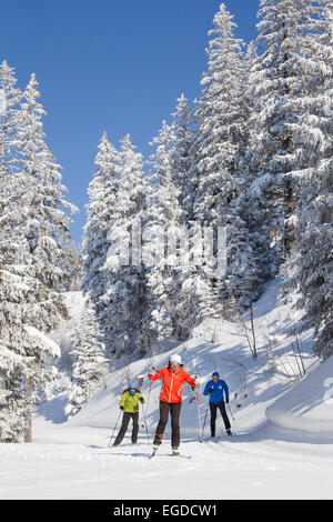 Three cross-country skiers, Gantrisch area, Berner Oberland, Canton of Bern, Switzerland Stock Photo