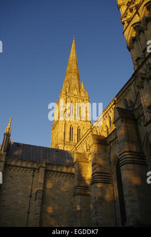 Salisbury Cathedral in the evening light, England, United Kingdom. Stock Photo