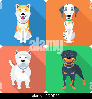 dog Akita Inu,  Dalmatian, Rottweiler and West Highland White Terrier icon flat design Stock Photo