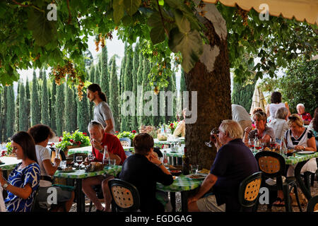 Terrace of the restaurant La Bottega, Volpaia, Chianti Classico area, Tuscany, Italy Stock Photo