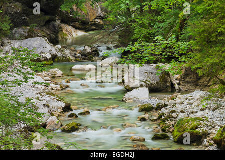 Strubklamm, Faistenau, Salzburg, Austria Stock Photo - Alamy