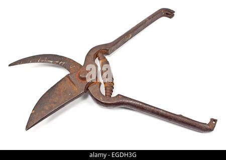 Old garden pruning shear isolated on white Stock Photo