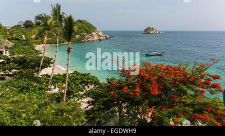 beach on koh tao Stock Photo