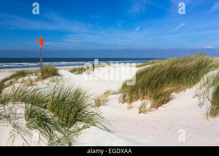 Dunes along the beach, Spiekeroog Island, National Park, North Sea, East Frisian Islands, East Frisia, Lower Saxony, Germany, Europe Stock Photo