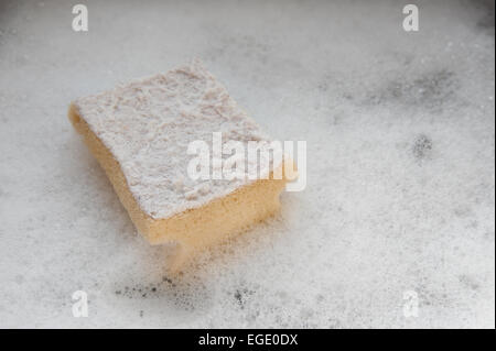 symbolic of the daily chore of cleaning a worn scourer sponge is floating in a sea of frothy bubbles with shallow focus Stock Photo