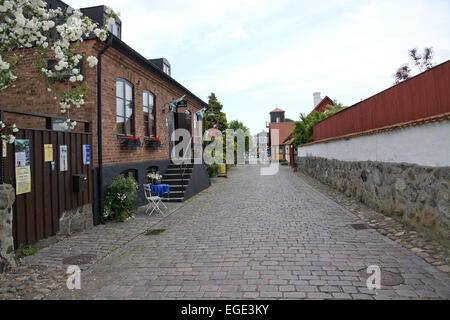 AHUS, SOUTH SWEDEN - JUNE 28, 2014: Idyllic street with roses and cobble stones on June 28, 2014 in Ahus, South Sweden. Stock Photo