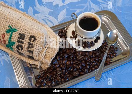 Costa Rica, famous costa-rican coffee bean with coffee cup // Costa Rica, célèbre grains et tasse de café du pays Stock Photo