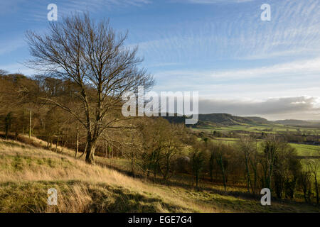 View towards Copley Wood from Collard Hill in the Polden Hills near Compton Dundon, Somerset. Stock Photo