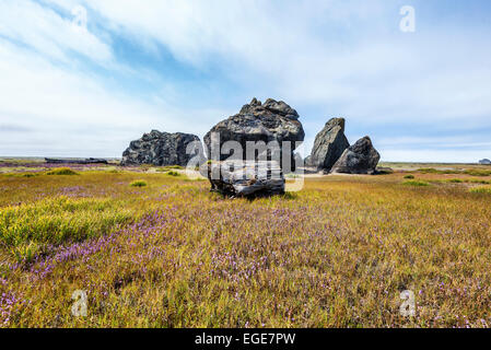 Piece of driftwood in front of the Ossagon Rocks. Prairie Creek Redwoods State Park, California, United States. Stock Photo