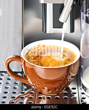 Coffee maker pouring fresh milk coffee in a cup. Domestic kitchen Stock Photo