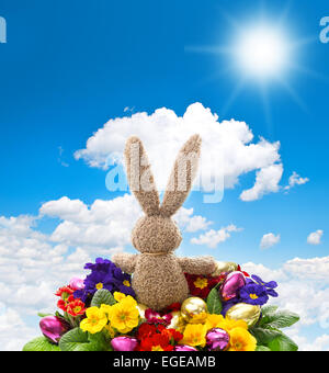 easter bunny with shiny eggs and colorful fresh spring primula flowers on sunny blue sky background Stock Photo
