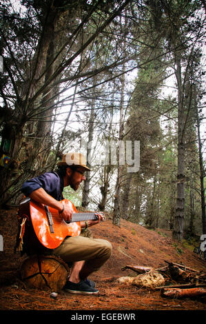 nature, musician, man, guitar, trees, leaves, wood, landscape, song, peace, love, relax, young
