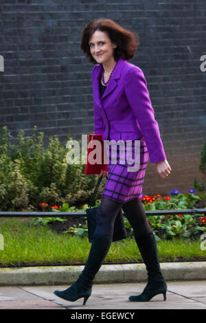 London, UK. 24th February, 2015. Ministers arrive at the weekly cabinet meeting at 10 Downing Street. PICTURED: Secretary of State for Northern Ireland Theresa Villers Credit:  Paul Davey/Alamy Live News Stock Photo