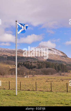 National flag of Scotland- the Saltire - blowing on a gusty winter day with the hill of Dumgoyne sprinkled with snow behind Stock Photo