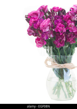 bunch of  mauve eustoma flowers Stock Photo